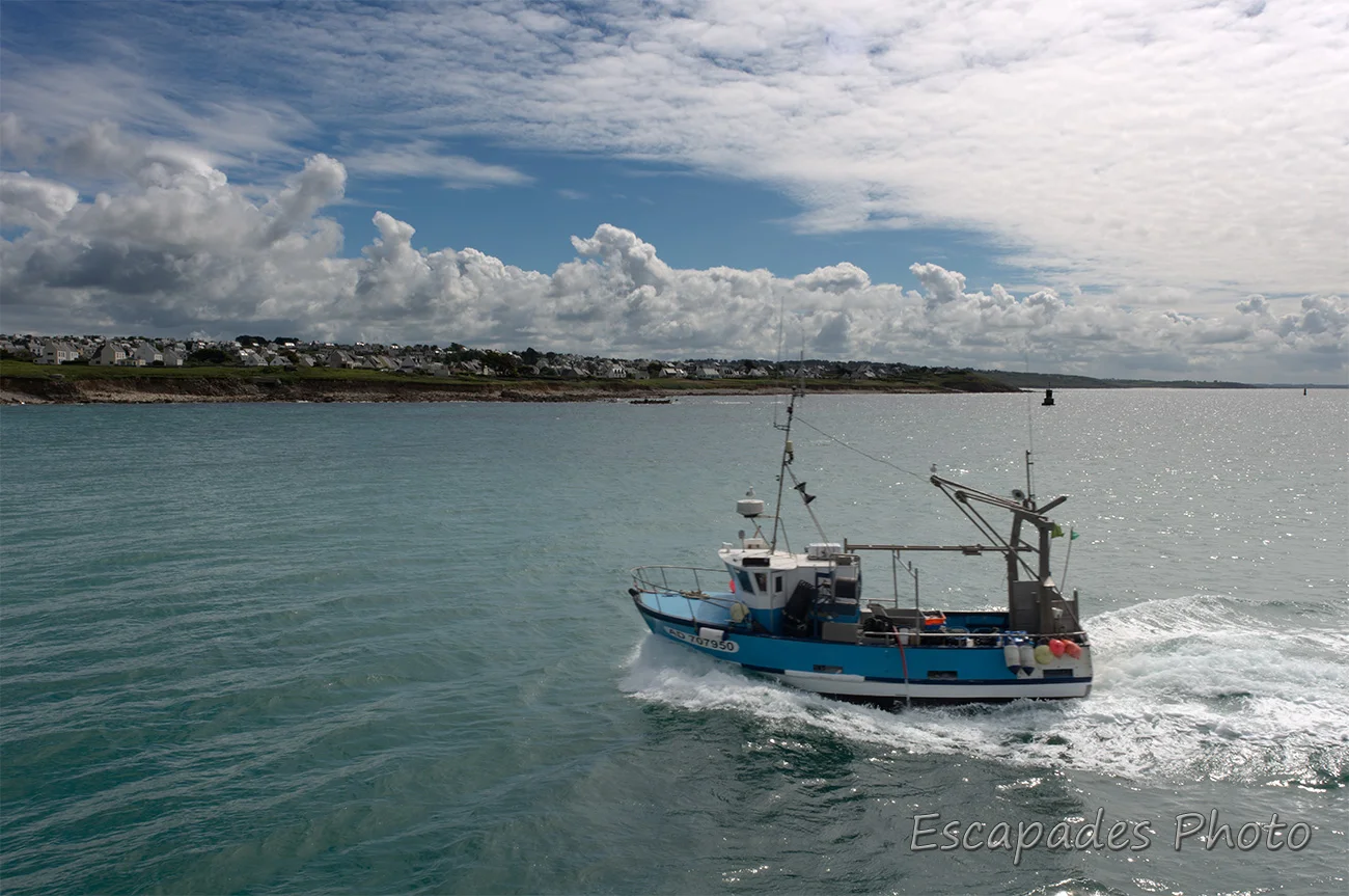 l'Avenir du Mousse - retour de pêche Audierne