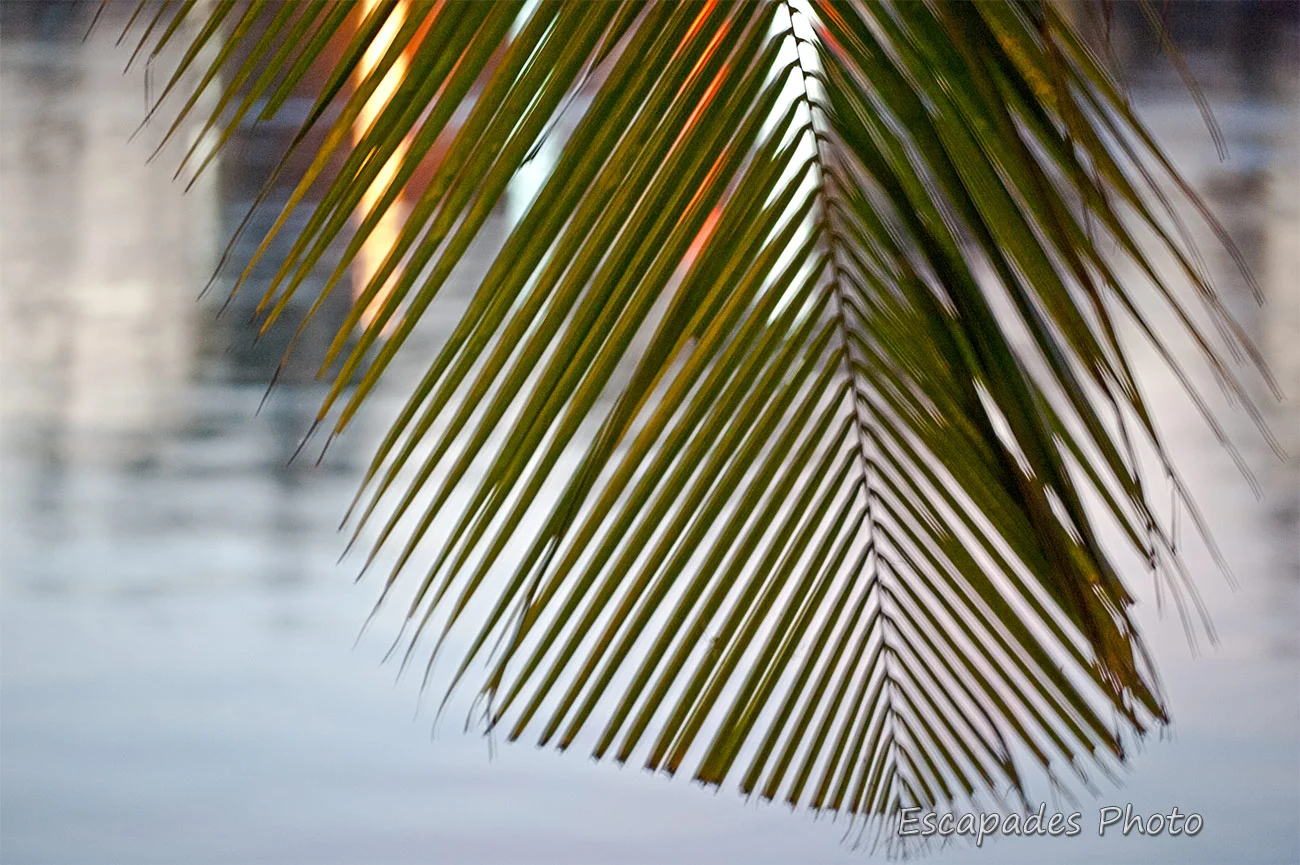 Crépuscule sur le Mékong - Kampong Cham