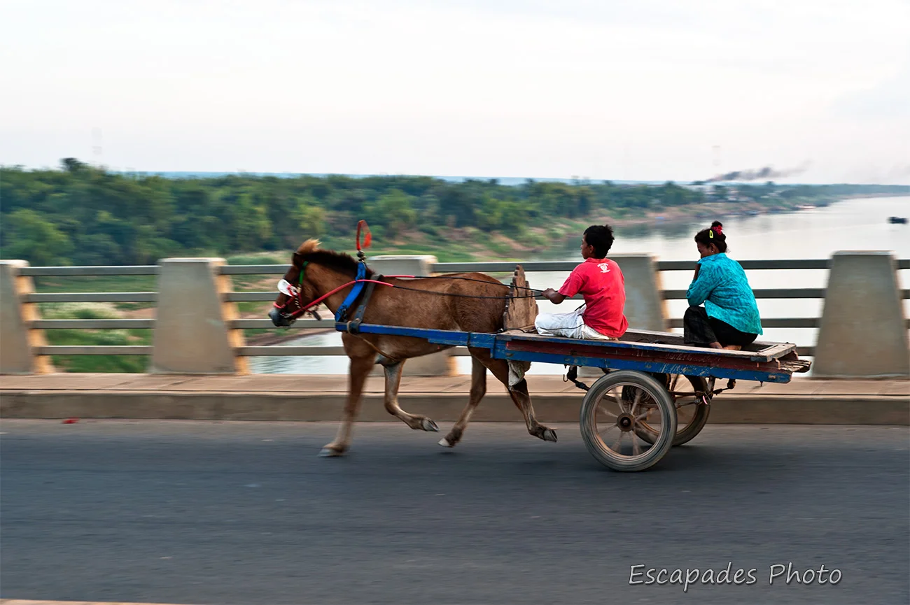 Petits chevaux sur le pont Kizuna et le Mékong