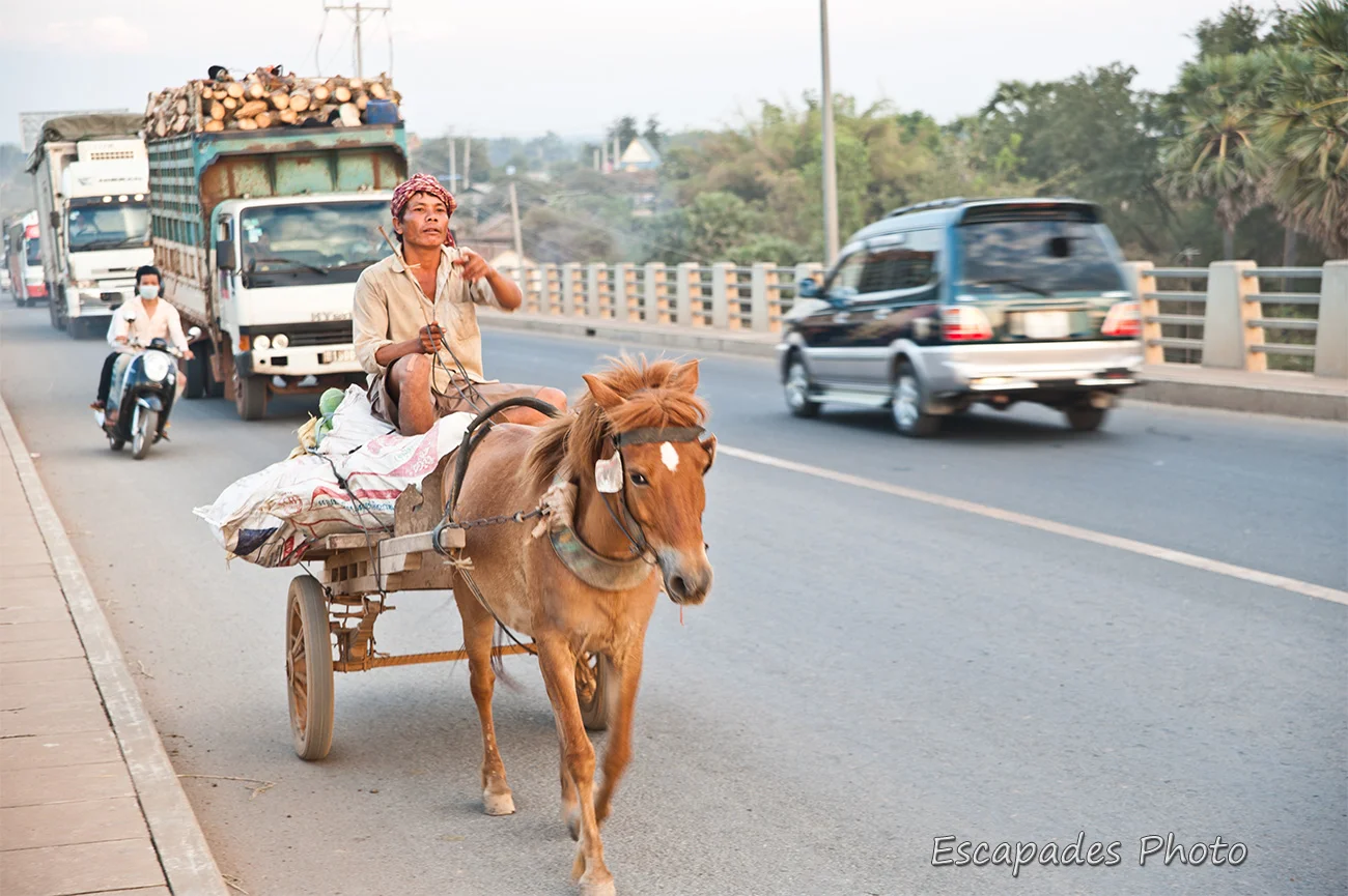 Petits chevaux sur le pont Kizuna kampong Cham