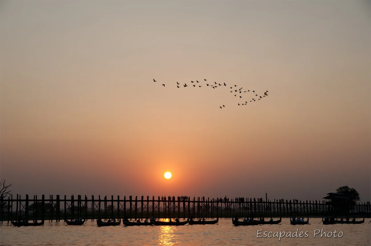 Le pont d'U Bein est unique au monde 3 U Bein - vol d'oiseaux lacustres au coucher de soleil