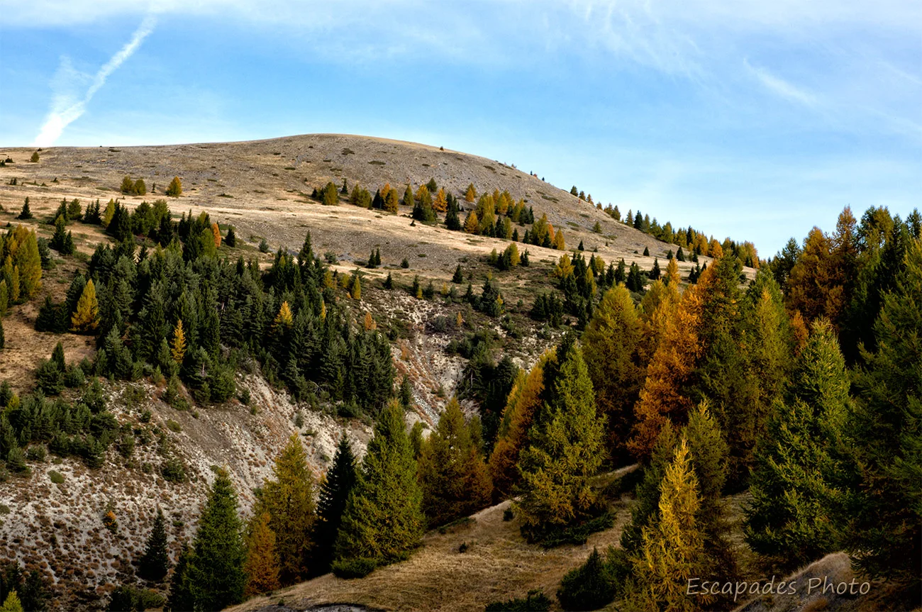 paysage col Toutes Aures