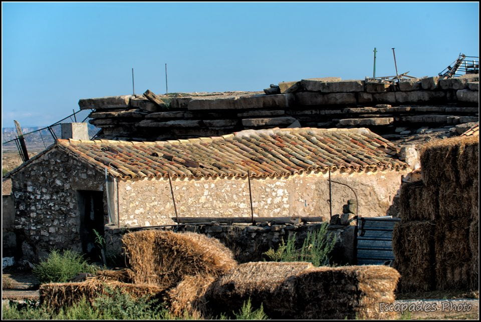 Bardena blanca Baja - Bergerie