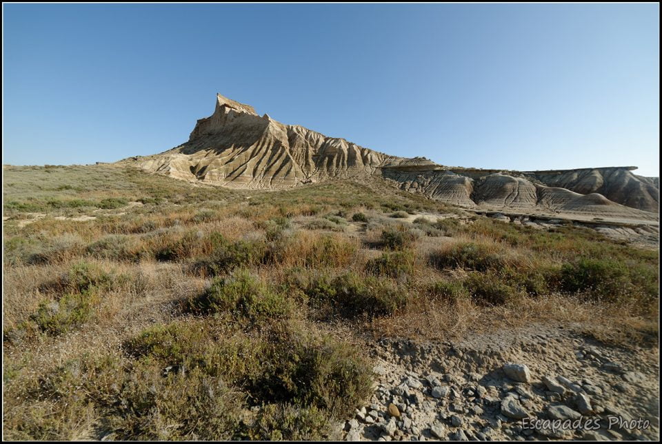 Bardena blanca Baja - cabezos