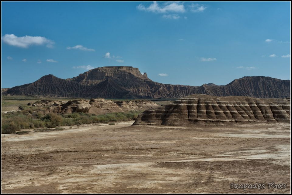 Bardena Blanca Baja