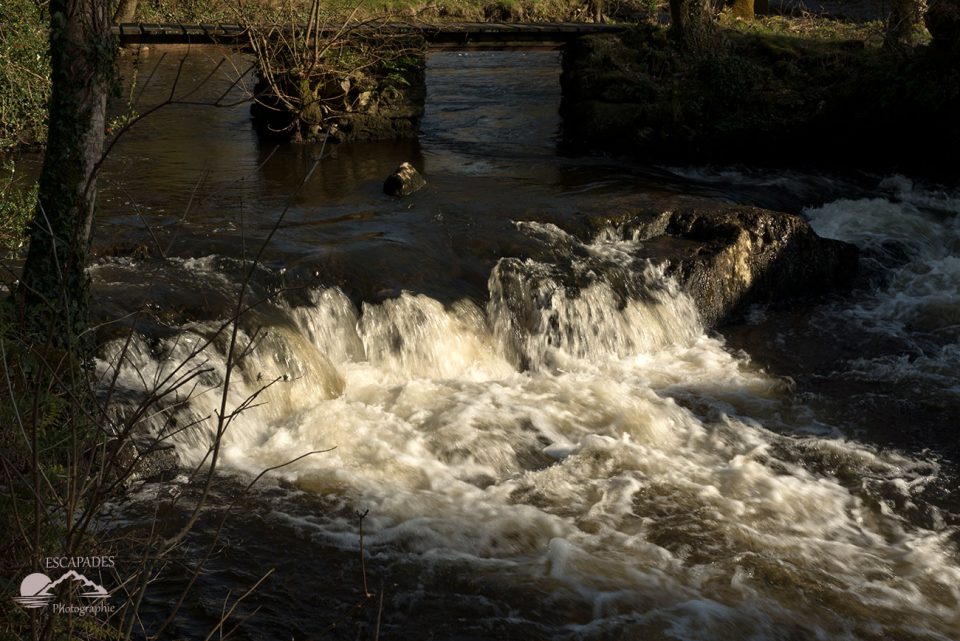 Moulin du Fourden, les eaux tumultueuses du bief 