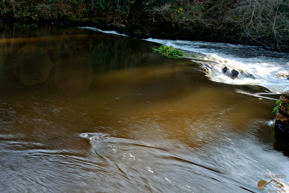 Le fleuve Ellé au barrage du Fourden à Tréméven